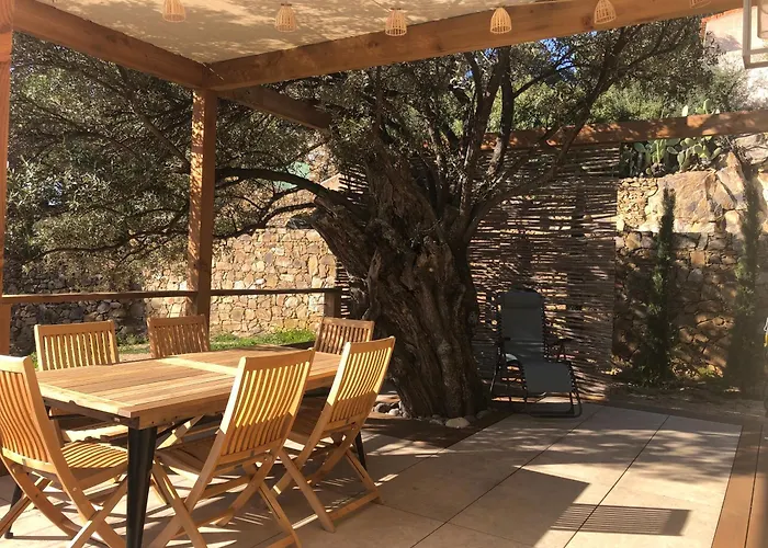 Maison Au Milieu Des Oliviers Lumio (Corsica)