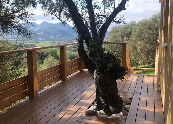 Maison Au Milieu Des Oliviers Villa *