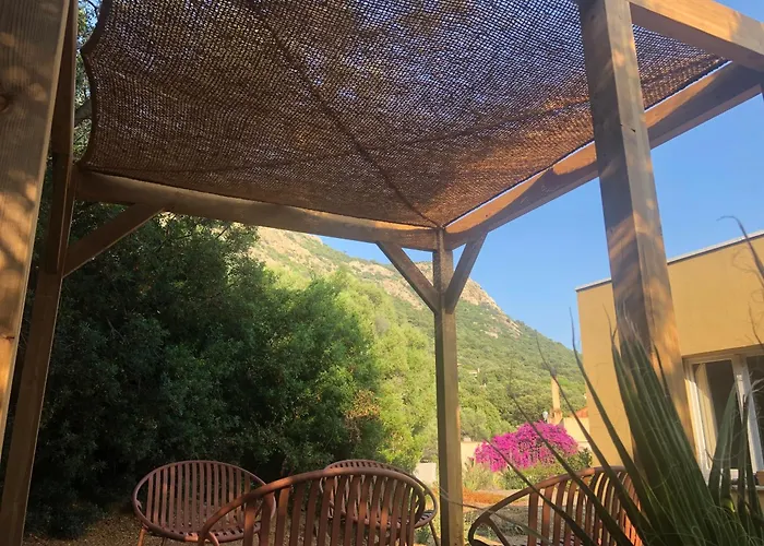 Maison Au Milieu Des Oliviers Lumio (Corsica)