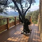 Maison Au Milieu Des Oliviers Villa *