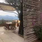Maison Au Milieu Des Oliviers Villa