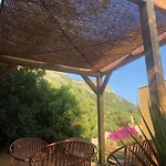 Maison Au Milieu Des Oliviers Lumio
