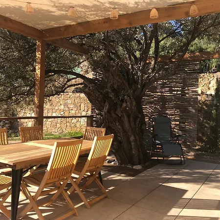 Maison Au Milieu Des Oliviers Lumio (Corsica)