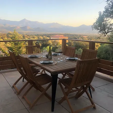 Maison Au Milieu Des Oliviers Lumio (Corsica)