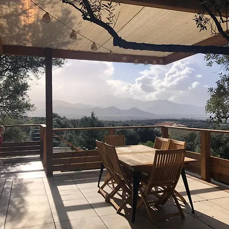 Maison Au Milieu Des Oliviers Villa Lumio (Corsica)