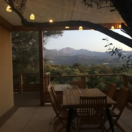 Maison Au Milieu Des Oliviers Villa Lumio (Corsica)