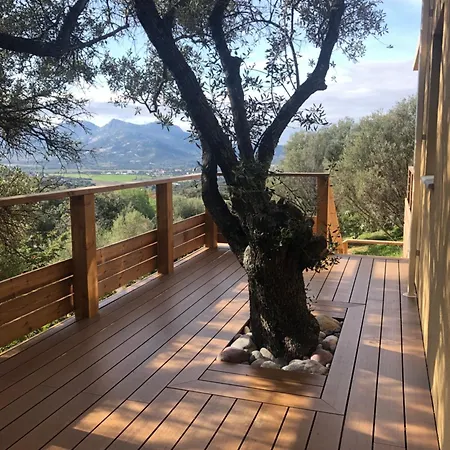 Maison Au Milieu Des Oliviers Βίλα *