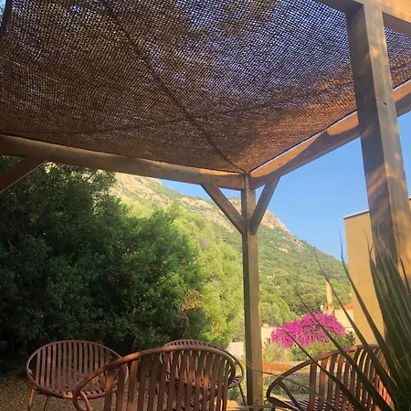 Maison Au Milieu Des Oliviers Lumio (Corsica)