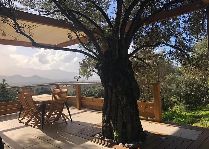Maison Au Milieu Des Oliviers Villa *
