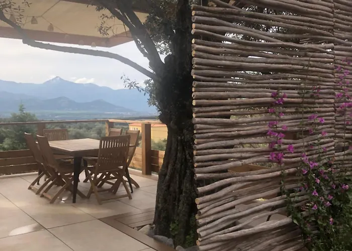 Maison Au Milieu Des Oliviers Villa