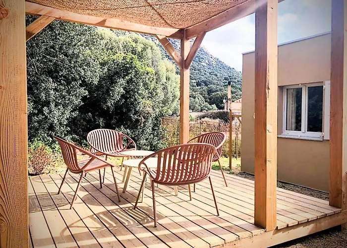 Villa Maison Au Milieu Des Oliviers *